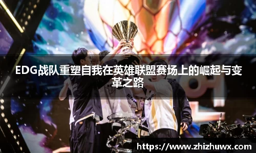 球速体育